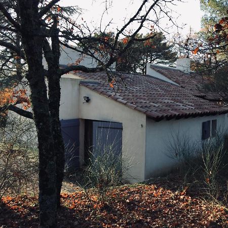 La Maison De Mado Et Sa Cabane Dans Les Arbres Plan d'Aups Exterior foto