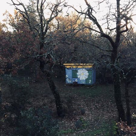 La Maison De Mado Et Sa Cabane Dans Les Arbres Plan d'Aups Exterior foto