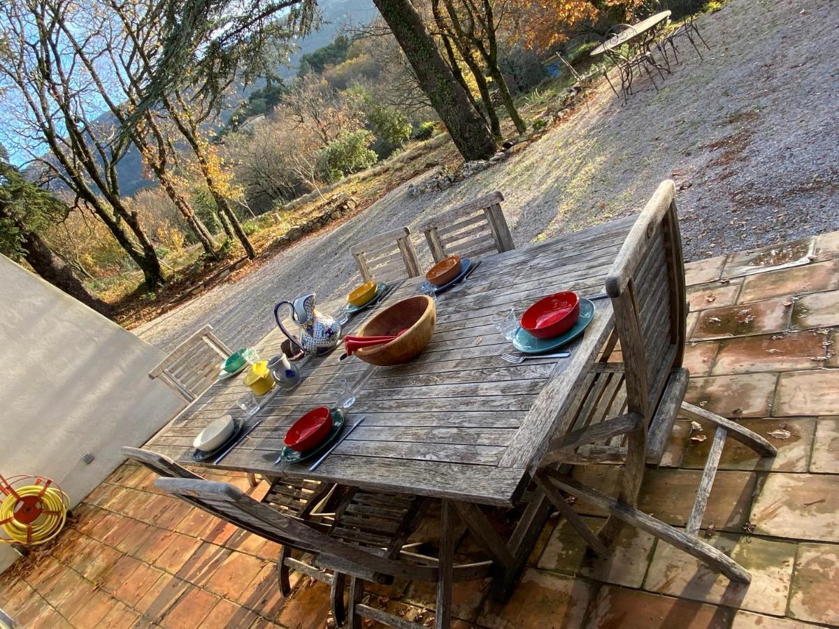 La Maison De Mado Et Sa Cabane Dans Les Arbres Plan d'Aups Exterior foto
