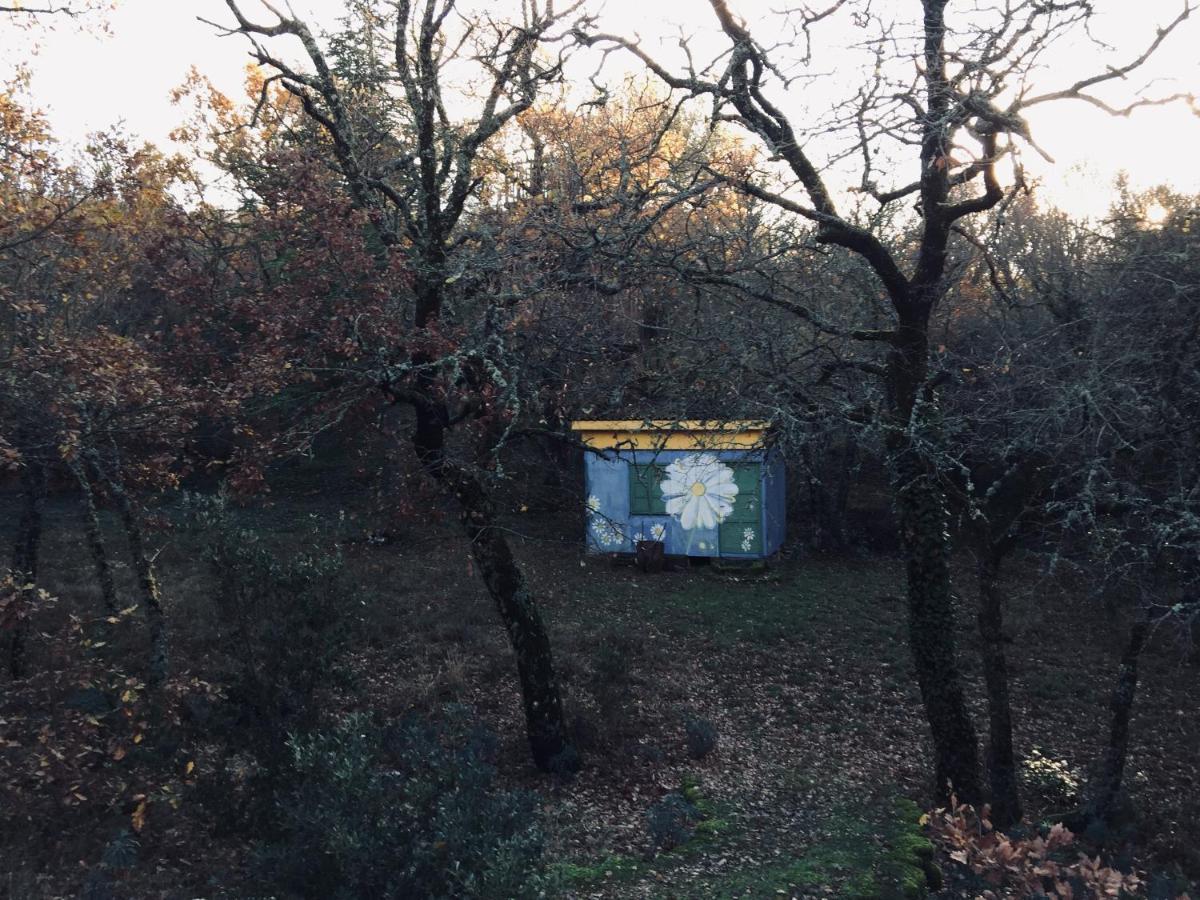 La Maison De Mado Et Sa Cabane Dans Les Arbres Plan d'Aups Exterior foto