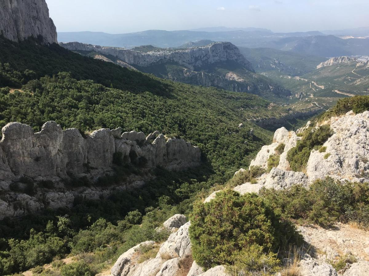 La Maison De Mado Et Sa Cabane Dans Les Arbres Plan d'Aups Exterior foto